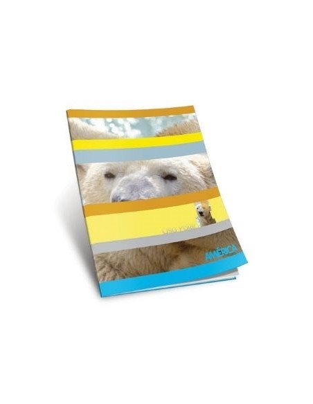 Cuaderno 48hj T/f Liso America 238560 Ae01 (b90)