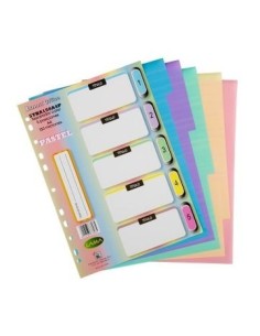 Separador A4 Pvc  X5 Posiciones Pastel/neon/clasico 5tba150a4p 5tba150a4n 5tba150a4 Lama (b144)
