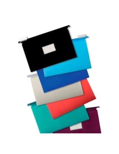 Carpeta Colgante C/visor Pvc Color/ Pastel Lama Su307f