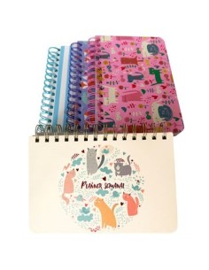 Planner Semanal 12.5x18.5cm C/espiral Yw-6673 Ran01