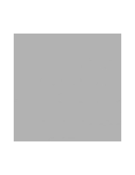 Cartulina Gris Mil28 (b10)