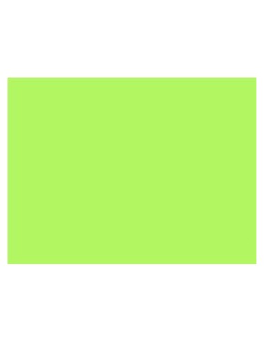 Cartulina Verde Claro 71-13 8520 Luma Mil28 (b.10)