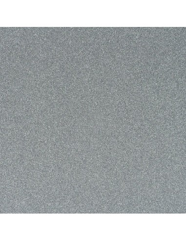 Cartulina Glitter Plata 50x35cm Rexon -b10-